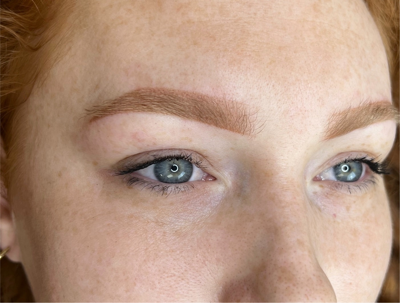 Powdered Ombre + Lip Blushing Combined Training Course IZORA ink